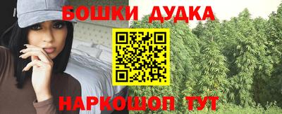 крисы Новокубанск