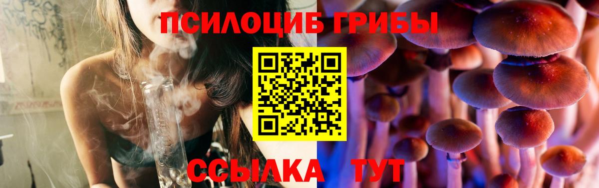 Псилоцибиновые грибы Psilocybe  Галлюциногенные грибы ЛСД  дарнет шоп  Вход с VPN  Шелехов 